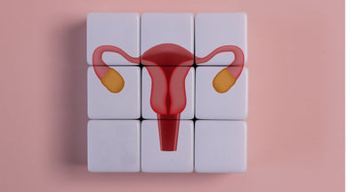 Cycle syncing: Jak sladit život s cyklem