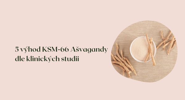 5 benefitů Ašvagandy