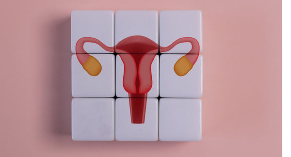 Cycle syncing: Jak sladit život s cyklem