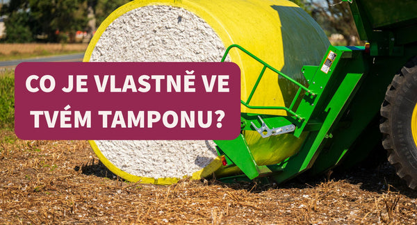 Co si ženy každý měsíc zavádějí do těla — a proč o tom nikdo nemluví?