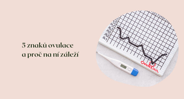 5 znaků ovulace a proč na ní záleží