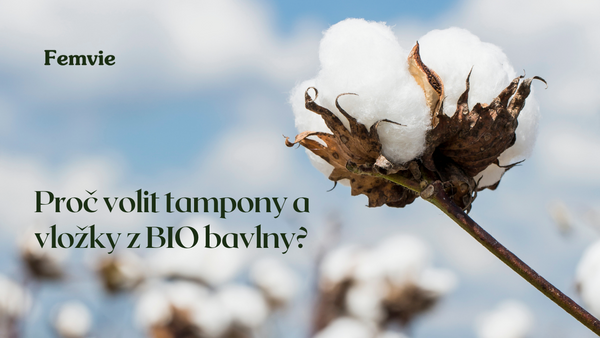 Proč volit tampony a vložky z BIO bavlny?