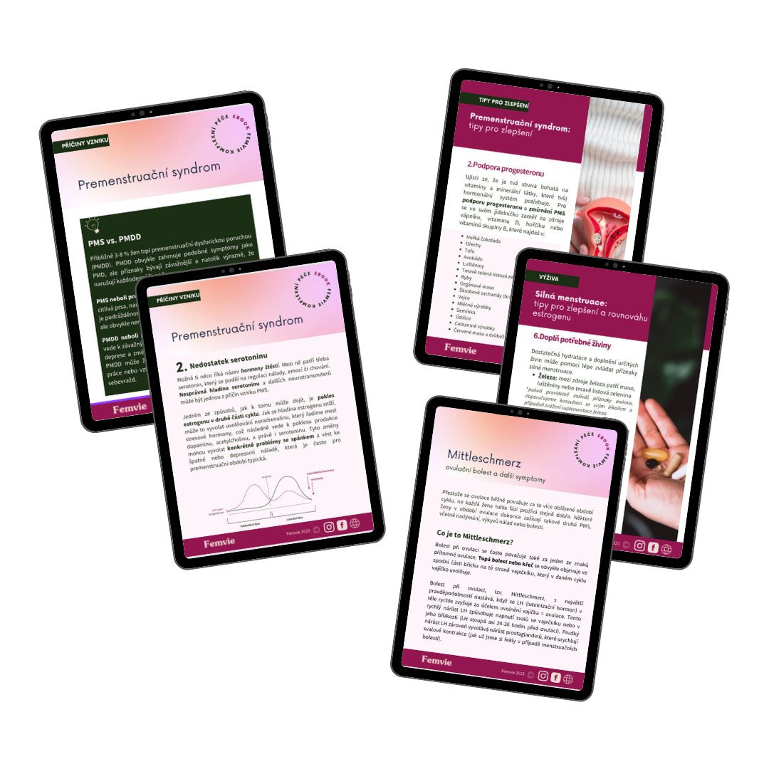 E-book: Desatero pro zdravý cyklus | Jak podpořit typické problémy menstruačního cyklu?