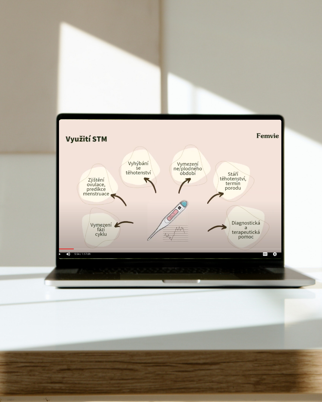 Webinář Symptotermální metoda v praxi: Naučte se rozumět svému cyklu a přirozeně plánovat (90 min)