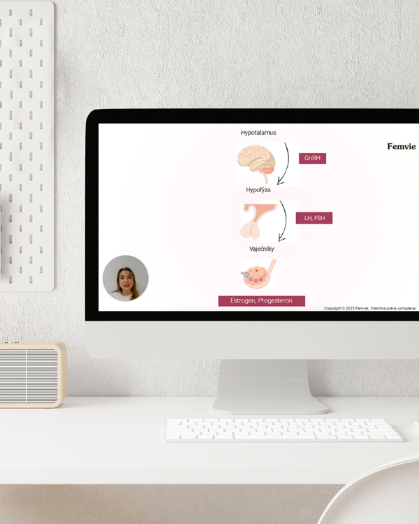 Women's Health Hub