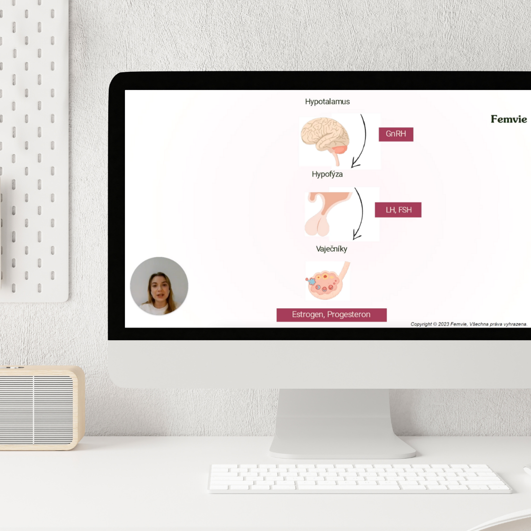 Webinar Harmony of the Cycle
